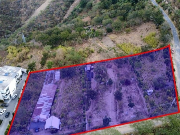 WhatsApp Image at ()