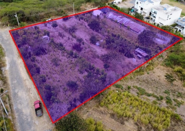 WhatsApp Image at ()