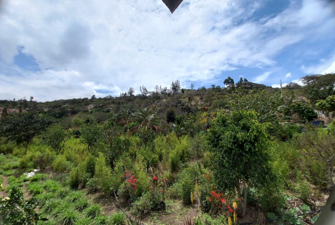 WhatsApp Image at ()